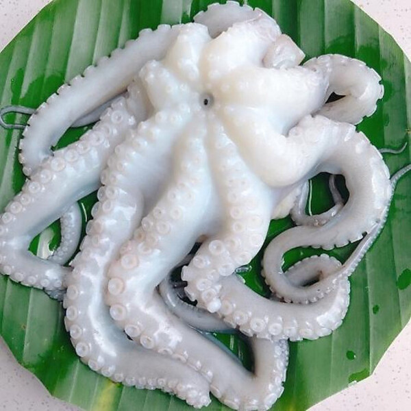 Bộ phụ gia xử lý mực, bạch tuộc...