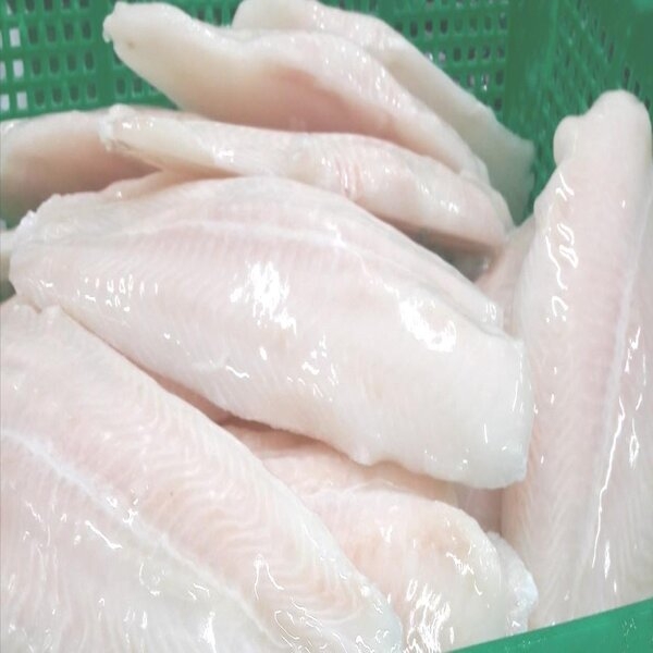 Cá fillet mạ băng 