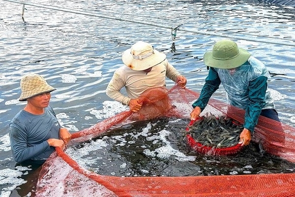 Người nông dân là biểu tượng của nguồn gốc và niềm tin